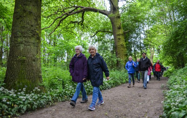People walking in the woods in Gloucestershire