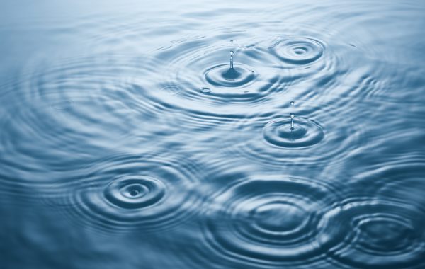 Lots of ripples across a body of water