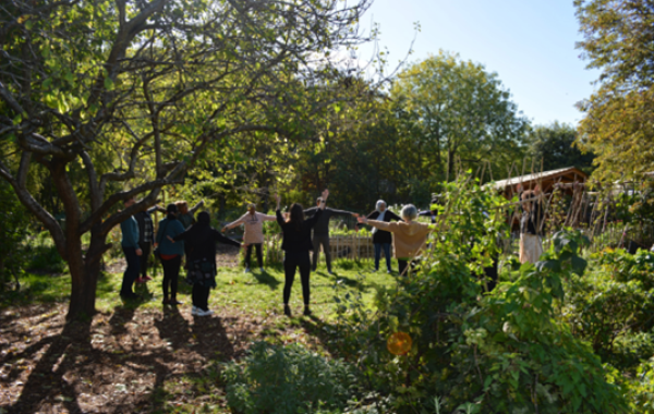 Group of adults practicing Tai Chi outdoors